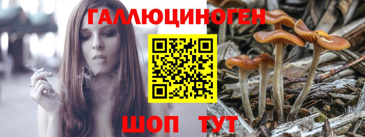 Галлюциногенные грибы Magic Shrooms Малгобек